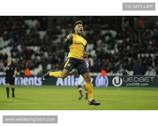 UED体育手机版下载平台介绍及安装指南帮助用户快速上手使用