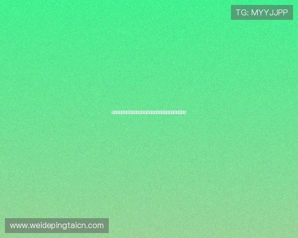 世界杯突尼斯对阵荷兰中场对抗分析：关键球员表现与战术布局详解